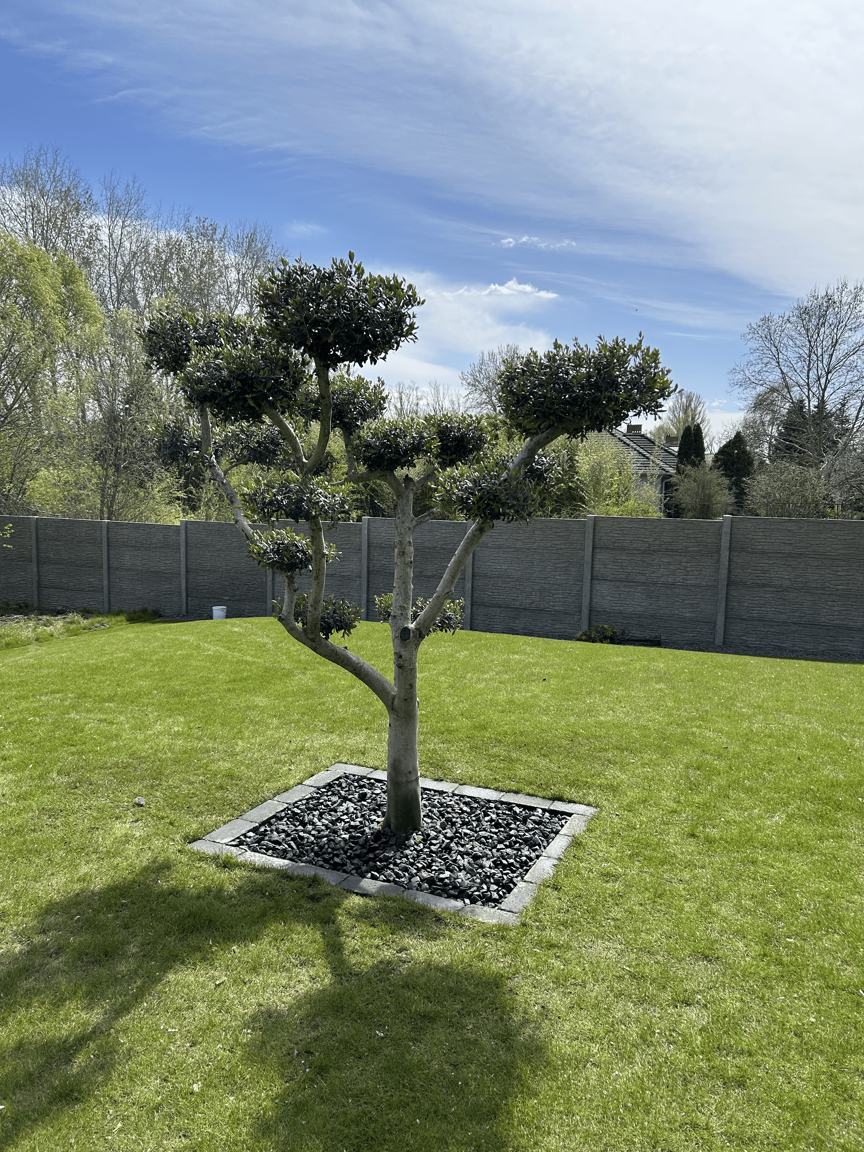 Kertfenntartás referencia 1